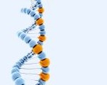 Eldan DNA