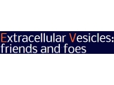 Extracellular Vesicles